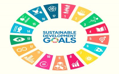 100 ondernemers vragen meer urgentie voor SDG’s